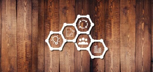 Beesbusy article couverture Philippe Ruaudel